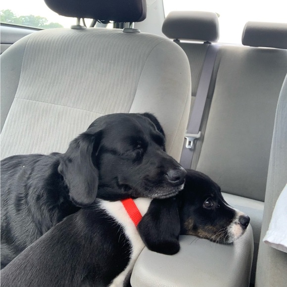 Meet your Posher, Patti - Picture 2 of 8